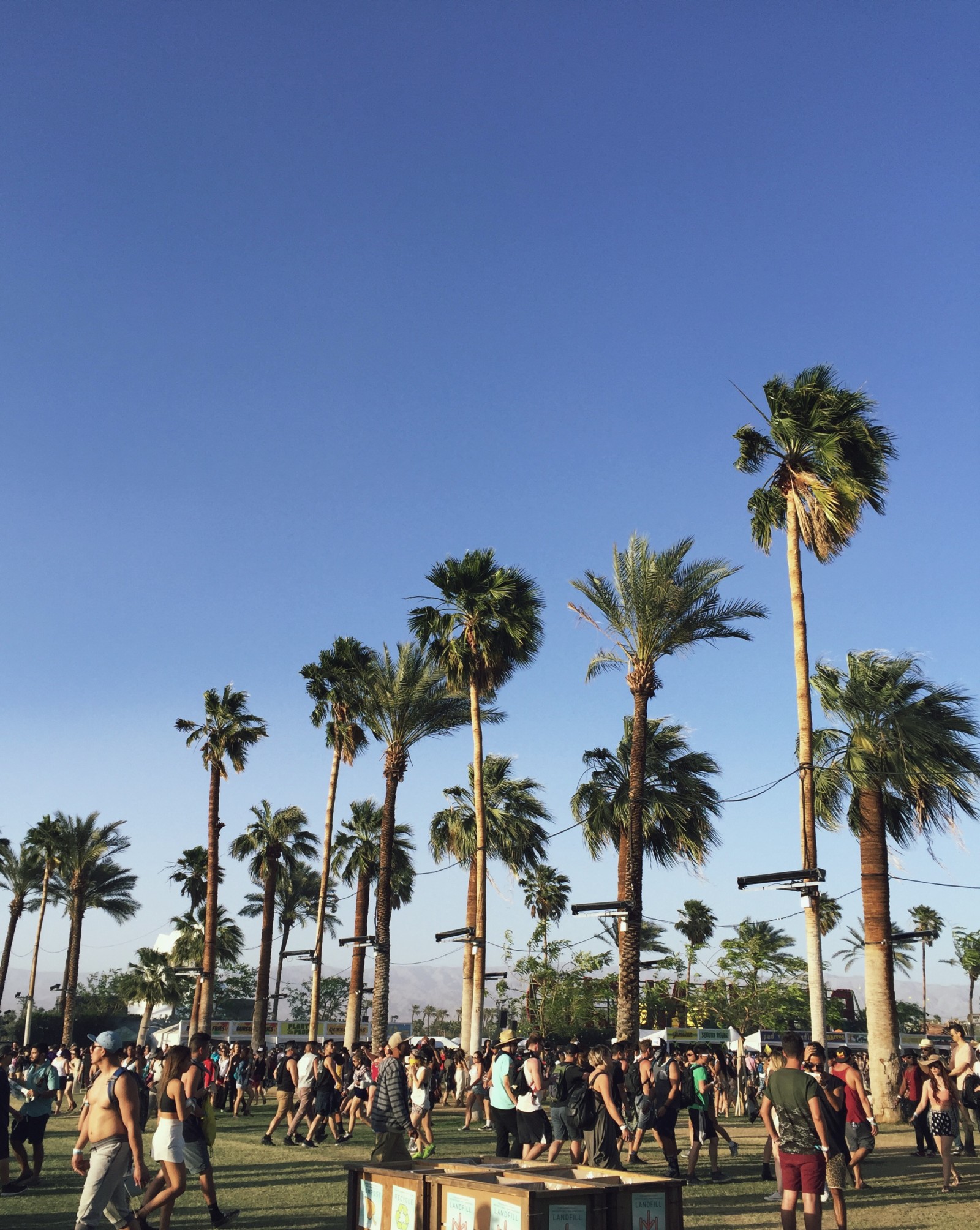 Coachella 2016