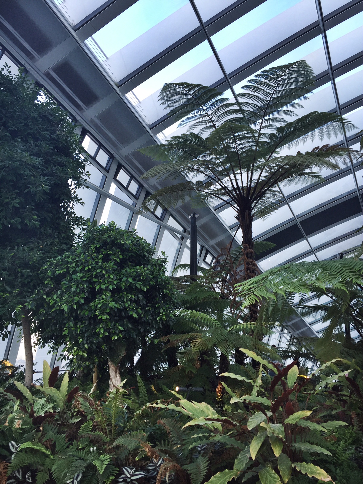 The Sky Garden, London