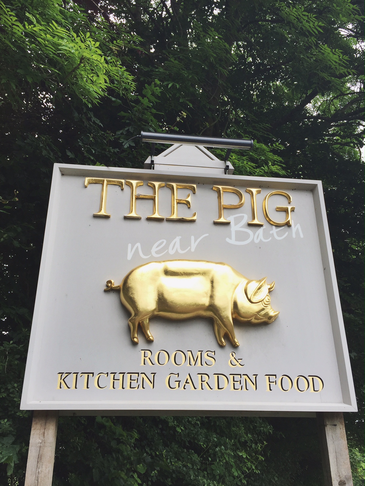 The Pig Near Bath 