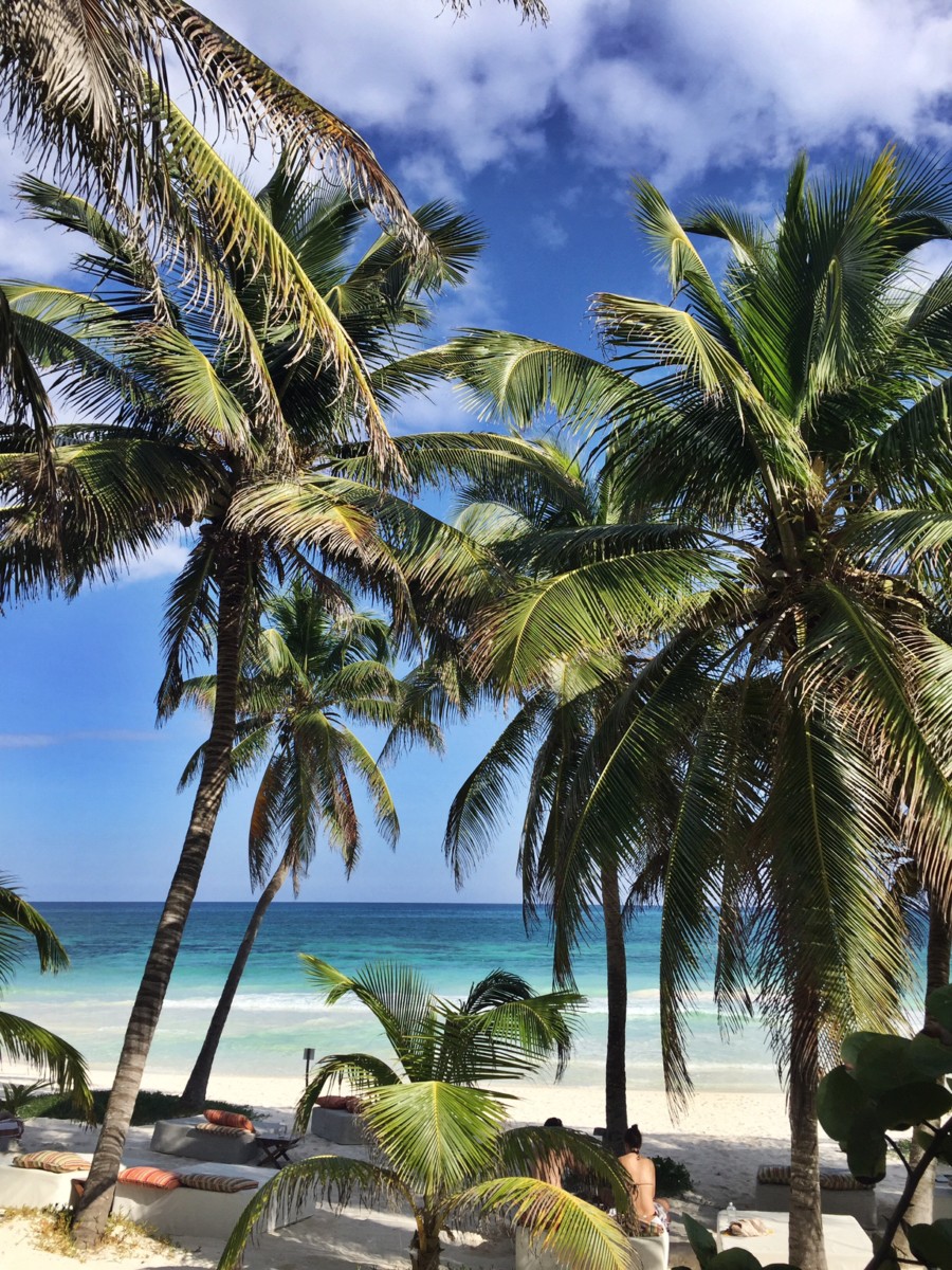 view-from-beach-hotel-tulum