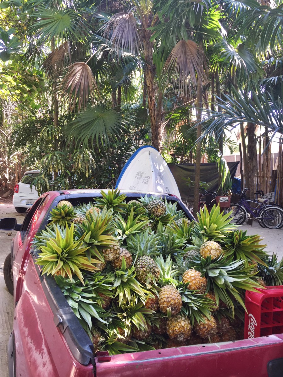 pineapple-truck-tulum