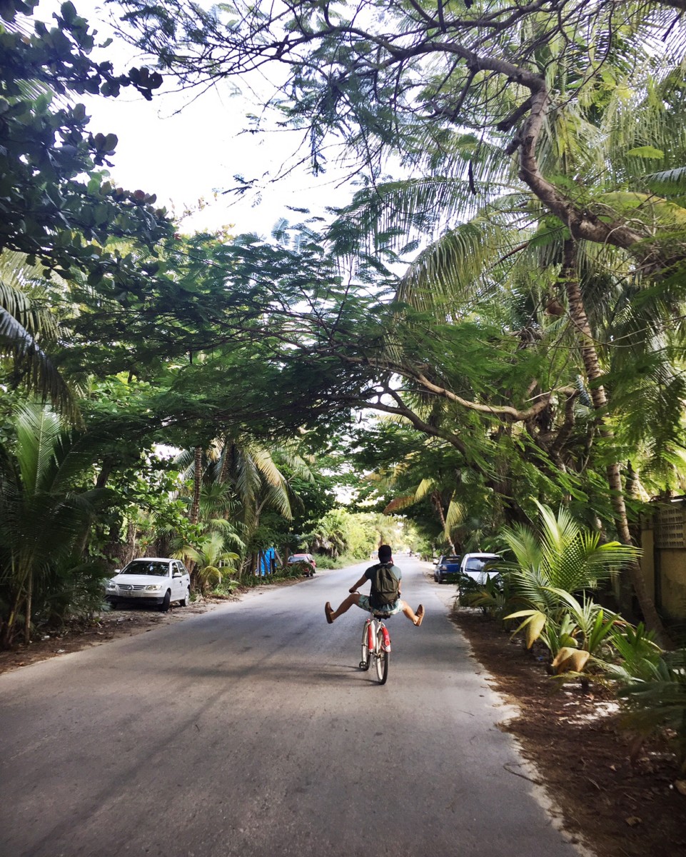 tulum-jungle-road-cycle-2