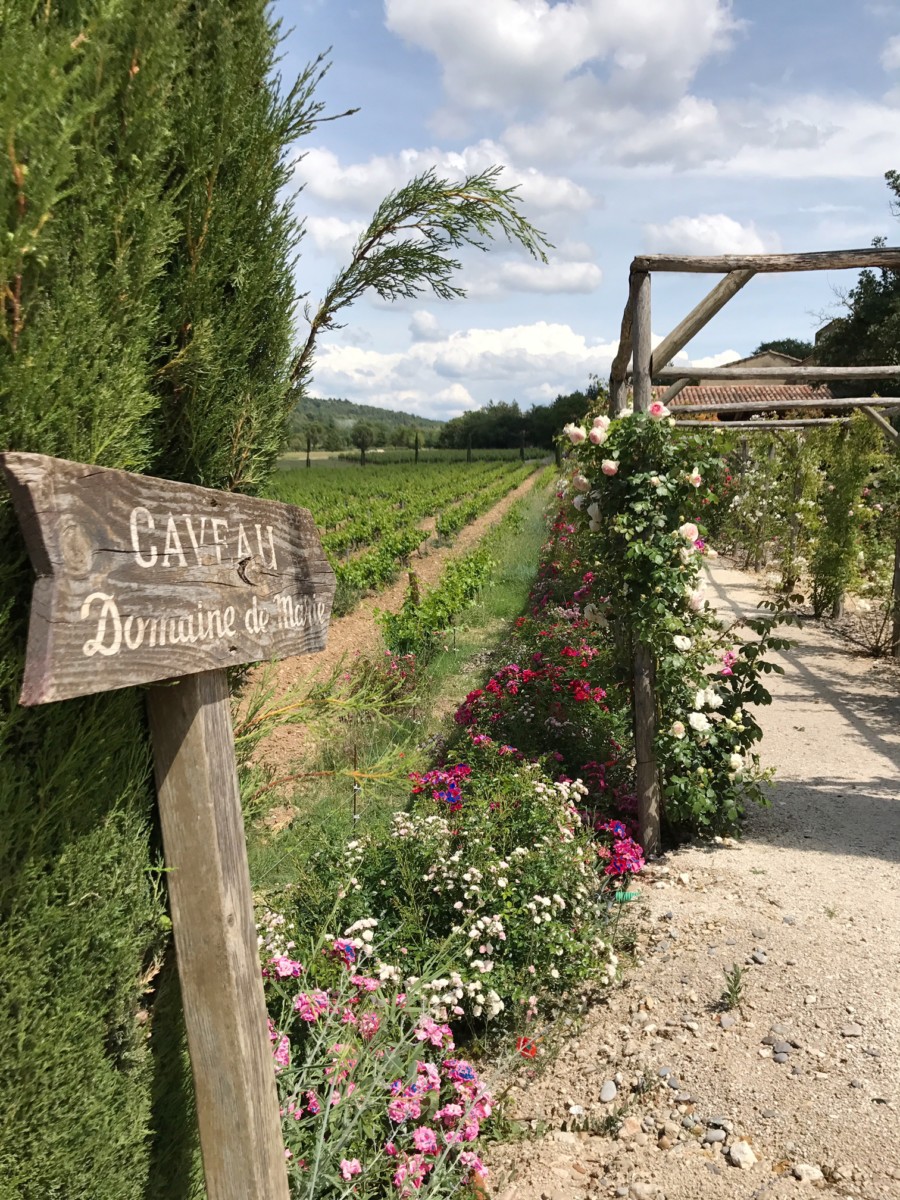La Bastide de Marie Rose Garden Vineyard