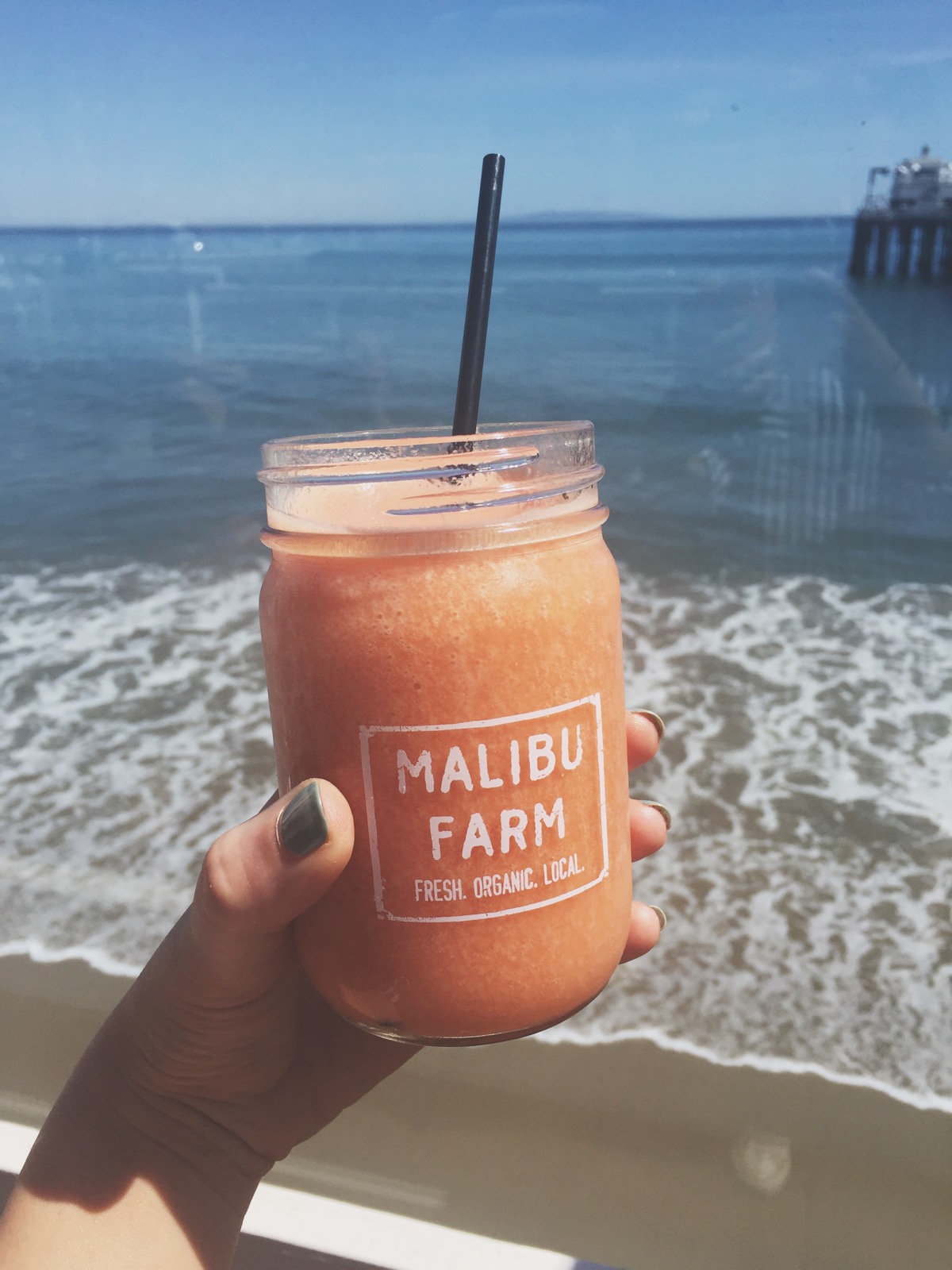 Malibu Beach Day