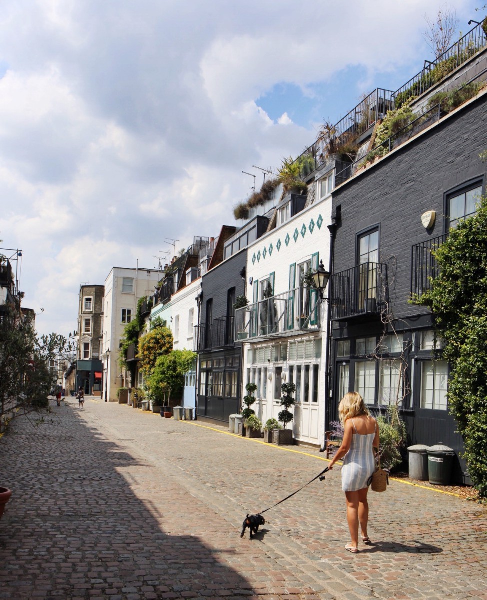 Dog friendly places in Notting Hill
