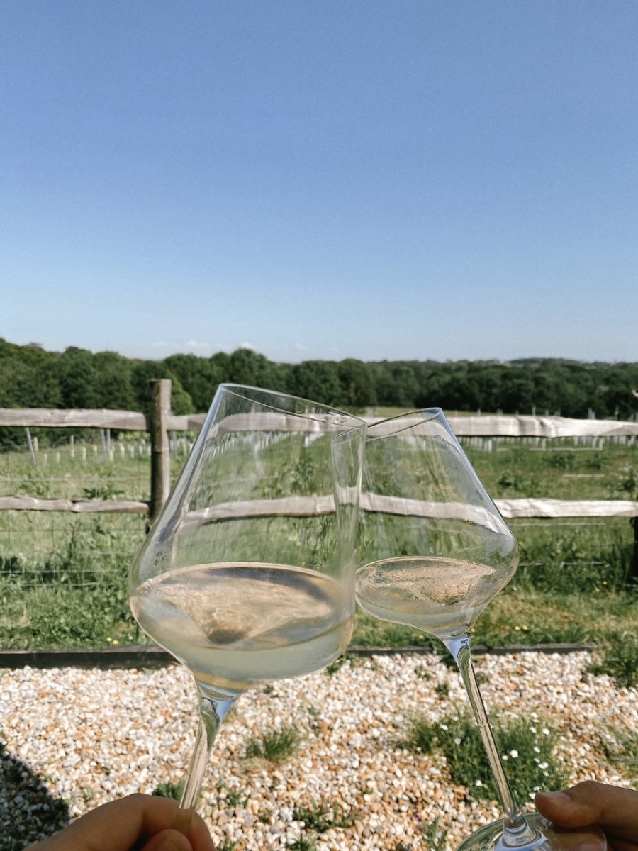 One night at Tillingham Winery in Rye, East Sussex